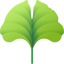 Fresh Mint Leaves