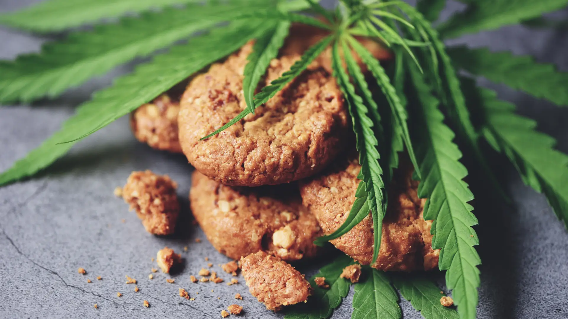 Why Make Your Own Cannabis Edibles? Why Make Your Own Cannabis Edibles?<br />