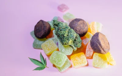 Top Cannabis Products for a Summer in Muskoka