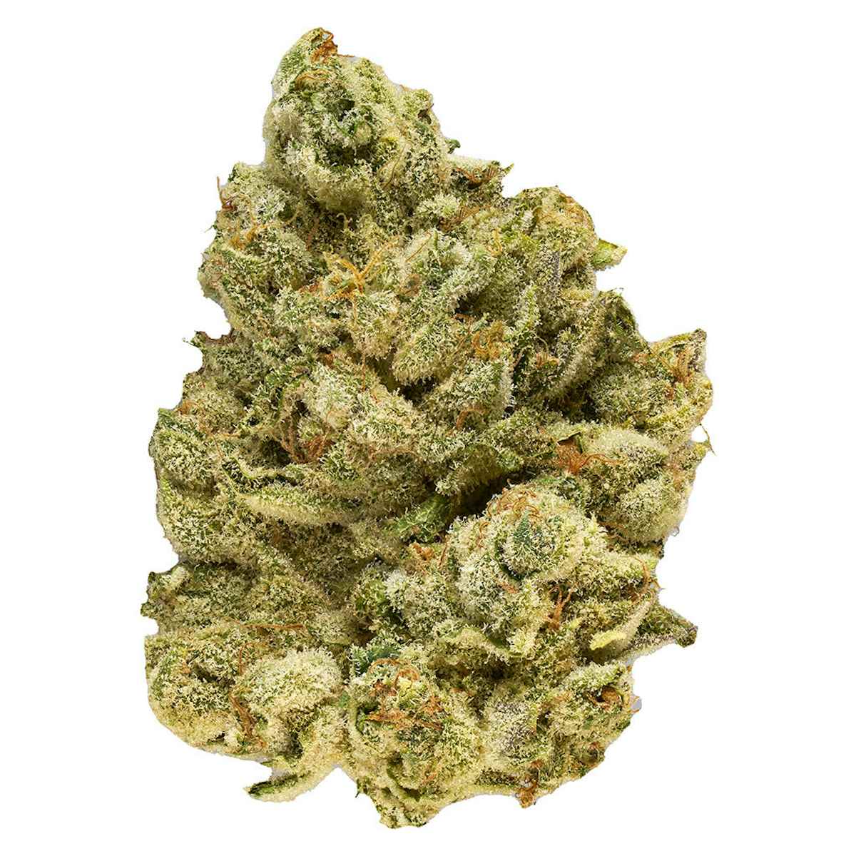 Broken Coast